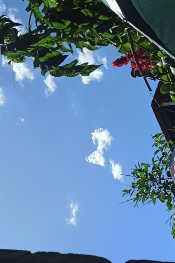  de Filme O Beijo do Corvo (1996)