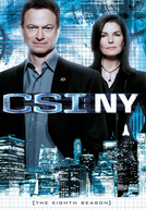 CSI: Nova Iorque (8ª Temporada)