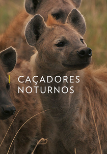 Caçadores Noturnos (Night Stalkers: Leopard Battleground)
