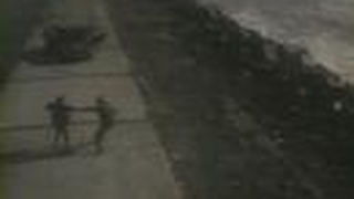 Trailer: Hanna D - The Girl from Vondel Park trailer