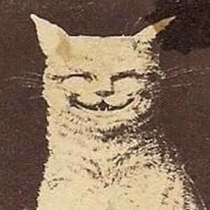 Foto de perfil de Flávia Fontolan