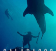 Galápagos: Reino dos Tubarões Gigantes
