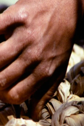  de Curta A Mão do Povo (1975)