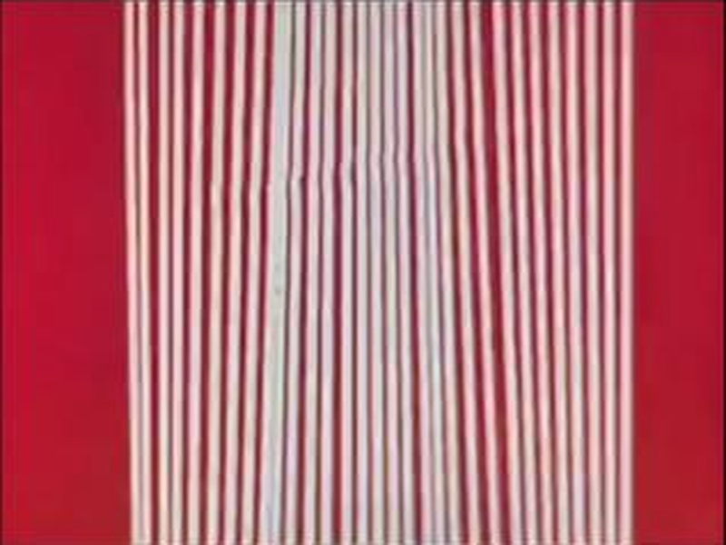 Foto 1 de Linhas Verticais