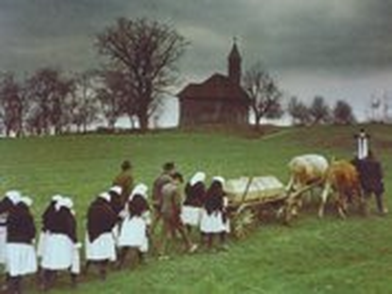 Foto 12 de Breza     (The Birch Tree) 