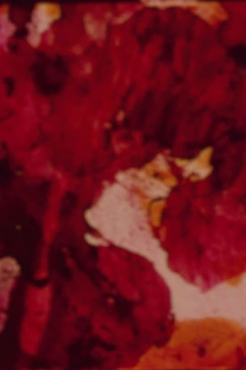 Poster de Curta Autumnal (1992)