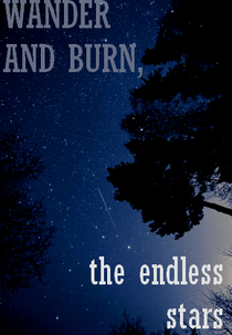 Wander and Burn, the Endless Stars (Wander and Burn, the Endless Stars)