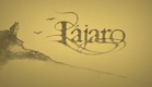Pájaro - Teaser 2
