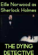 The Adventures of Sherlock Holmes: The Dying Detective (The Dying Detective)