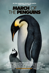 A Marcha dos Pinguins - Poster / Capa / Cartaz - Oficial 1