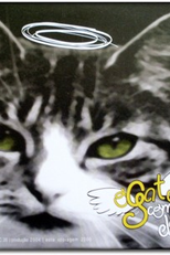 O Gato Como Ele é (O Gato Como Ele é)