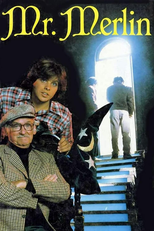 Merlin, O Mago (Mr. Merlin)