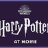 Livro de Harry Potter ganhará leitura integral feita por famosos; ouça