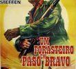 Forasteiro de Paso Bravo