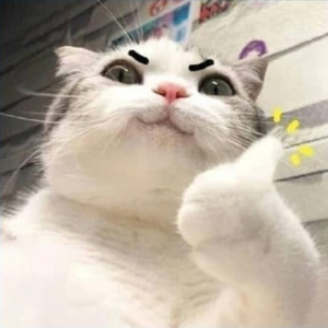 Foto de perfil de Giorggio Belloti