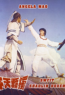 Swift Shaolin Boxer (Du ba tian xia)