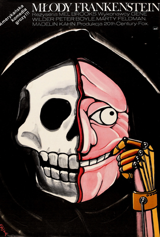 Poster 6 de Filme O Jovem Frankenstein (1974)