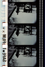 Pluie de roses (à Rose Lowder) (Pluie de roses (à Rose Lowder))