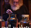Small Prophets