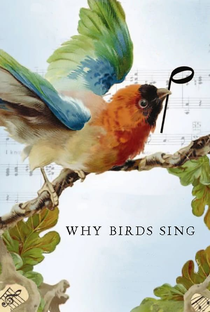 Por que os Pássaros Cantam? - Poster / Capa / Cartaz - Oficial 1