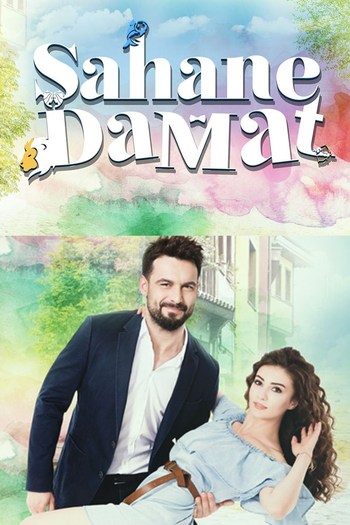 Poster de Franquia Şahane Damat (2016)