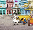 Finding the Rhythm in Cuba