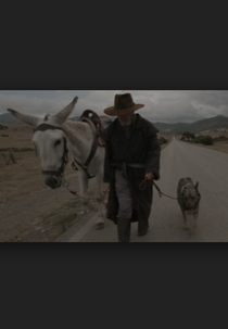 Donkeyote (Donkeyote)