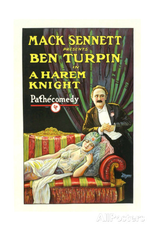 Um Cavaleiro no Harém (A Harem Knight)