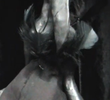 Feathers