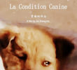 A Condição Canina