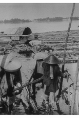 Transporte de Madeira em Jangadas (Transport des bois par radeaux)