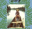 Amazon diary