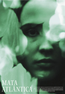 Mata Atlântica (Mata Atlântica)