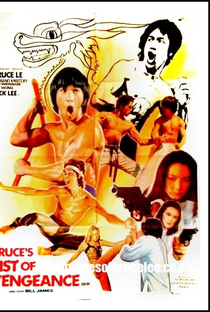 O Segredo de Bruce Lee - Poster / Capa / Cartaz - Oficial 1