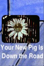 Your New Pig Is Down the Road (Your New Pig Is Down the Road)