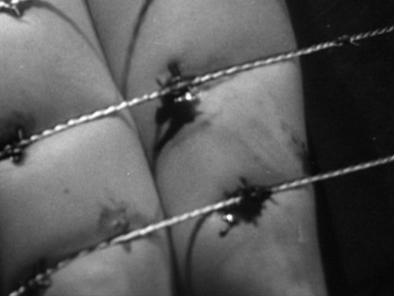 Foto 3 de The Devil's Sisters