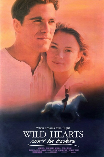  de Filme Mergulho em Uma Paixão (1991)