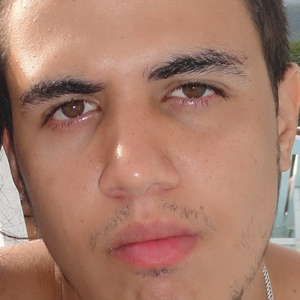 Foto de perfil de Guilherme Loureiro
