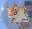 Hammy's Day Out