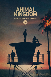 Animal Kingdom (5ª Temporada) - Poster / Capa / Cartaz - Oficial 1
