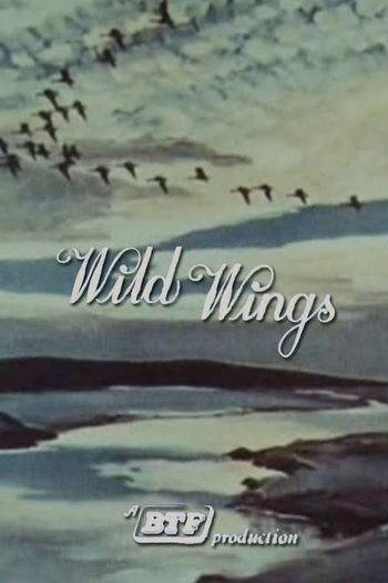 Poster de Curta Wild Wings (1965)