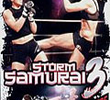 Storm Samurai 3