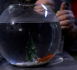Buon Natale