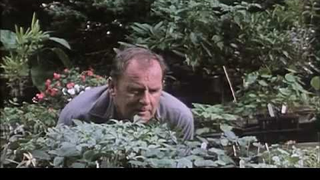 Trailer: THE HANGING GARDEN - offizieller deutscher Trailer