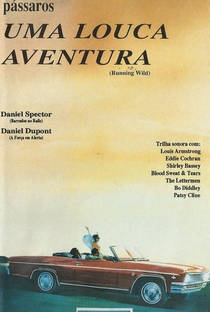 Uma Louca Aventura - Poster / Capa / Cartaz - Oficial 1