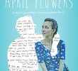  April Flowers 