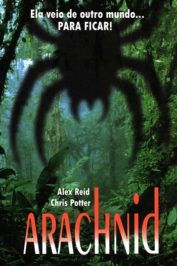  de Filme Aracnídeo (2001)