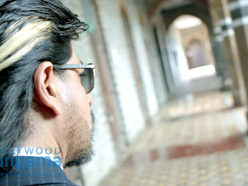 Foto 29 de Happy New Year