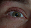 Pilot (1)