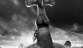  Posters, Fotos e Banners de Frankenweenie.